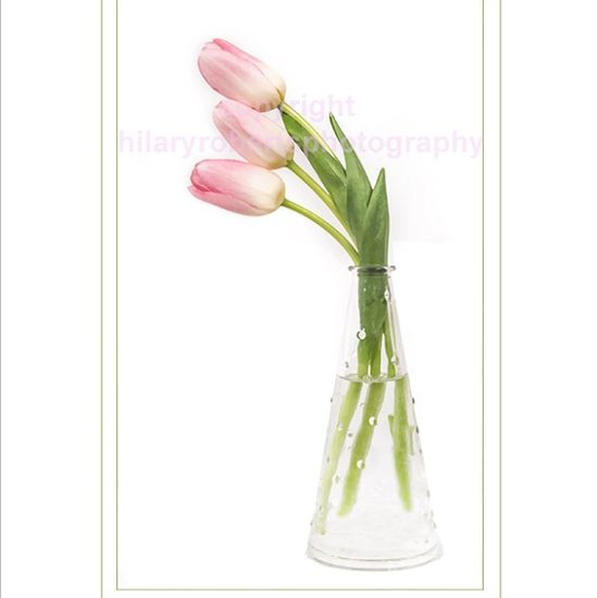 Hilary Roberts Photography | Three Pink Tulips