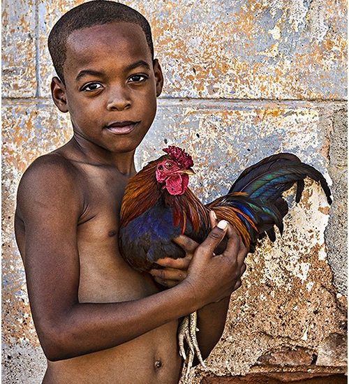 Cuba Boy with Cockeral