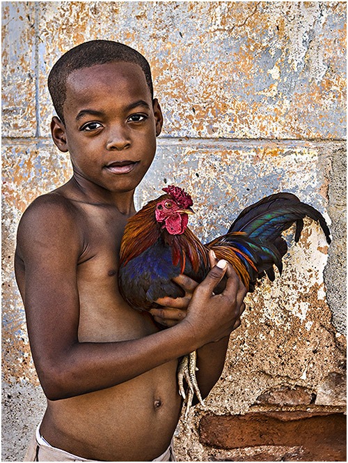 Cuba Boy with Cockeral