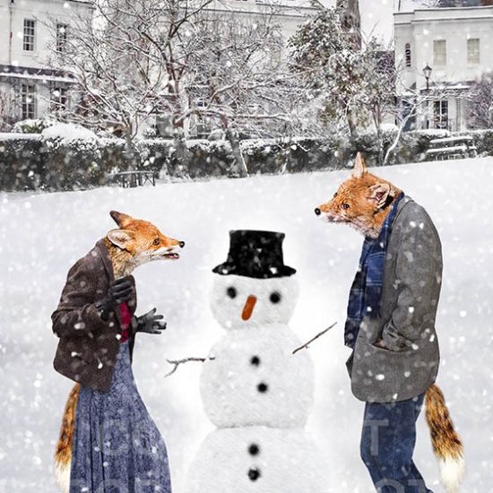 Hilary Roberts Photography | Urban Foxes with Snowmen