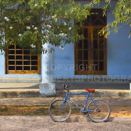 Photo of Blue Bike