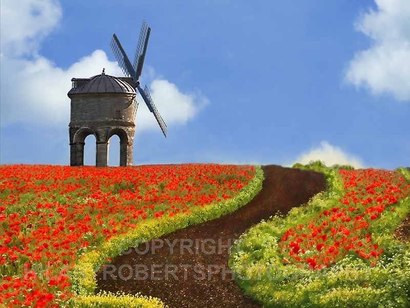 Hilary Roberts Photography | To the Windmill