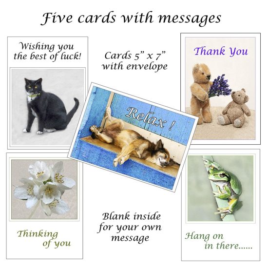 Greeting cards with messages