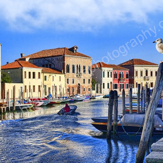 Hilary Roberts | Venice Murano