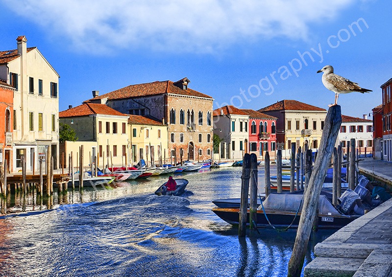 Hilary Roberts | Venice Murano